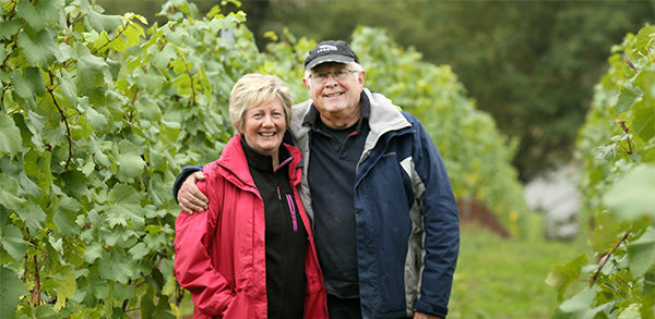 Barbara and Tony Laithwaite during the harvest at Windsor Great Park vineyard