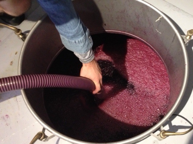 Pumping over the cap of skins is essential to prevent reduction and volatility once a wine has started fermenting