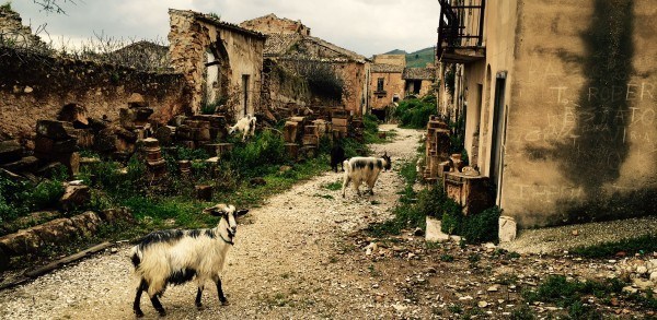The ghost town of Poggioreale – silence broken only by goats