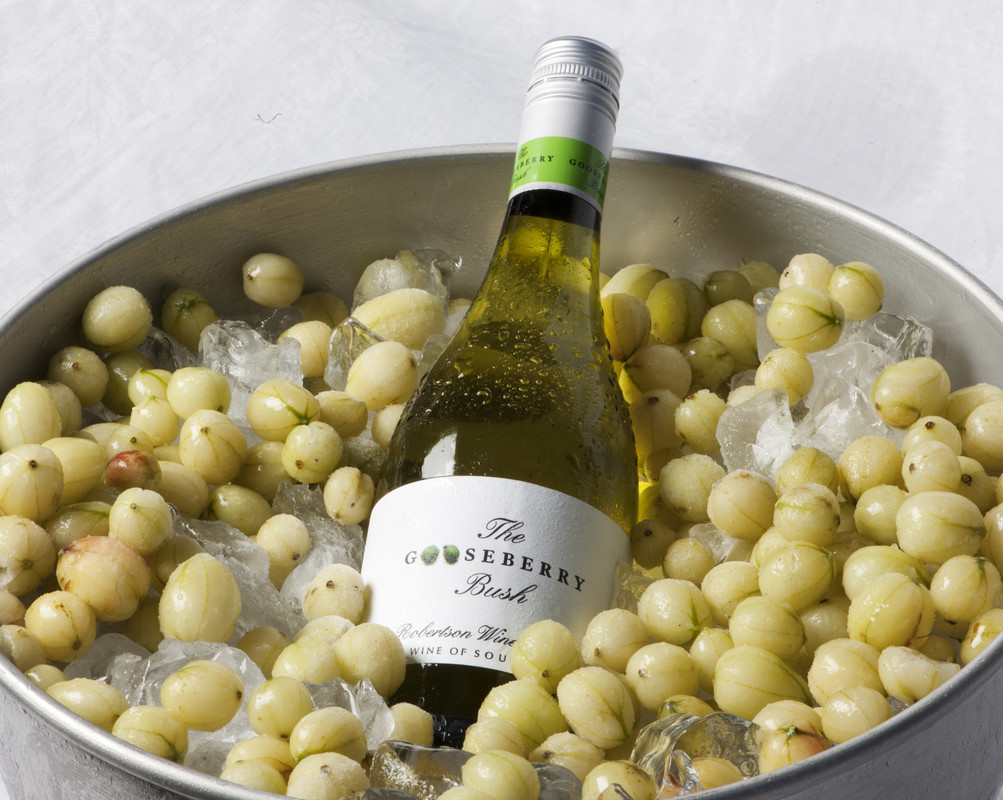 South African Sauvignon The Gooseberry Bush is one of the vegan wines in our range